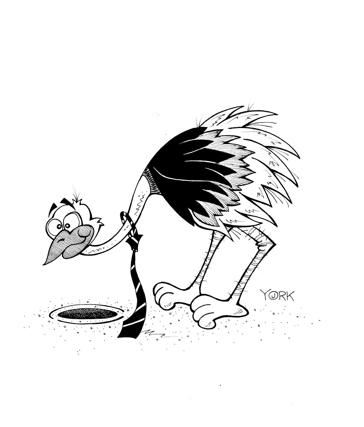 Ostrich for Jennifer J Fondrevay Quiz